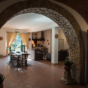 Il Casale Degli Ulivi B&B